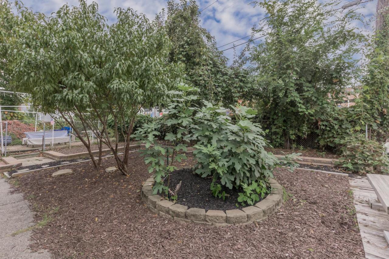 In The Heart Of Little Italy! Free Parking! Appartement Cleveland Buitenkant foto